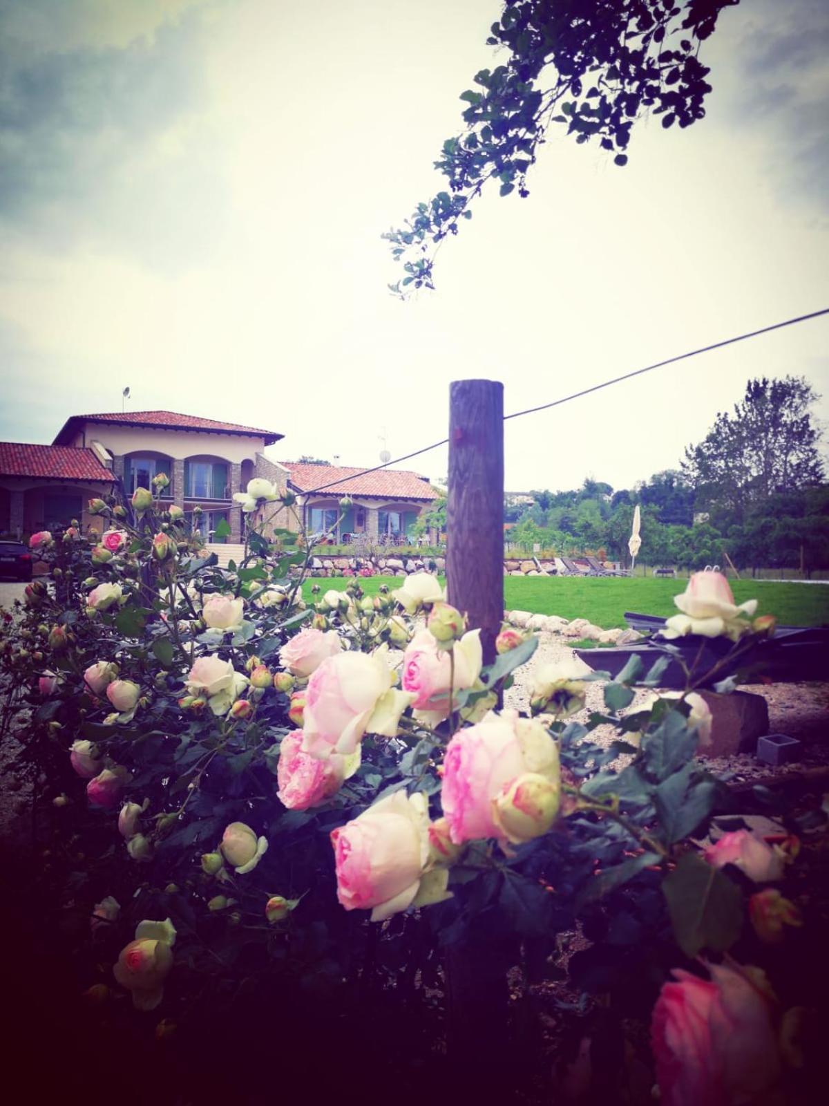 Orchidea Del Garda & Apartment Peschiera del Garda